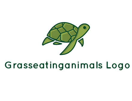 abstract baby turtle