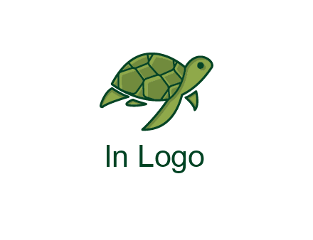 abstract baby turtle