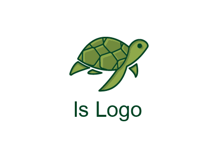 abstract baby turtle