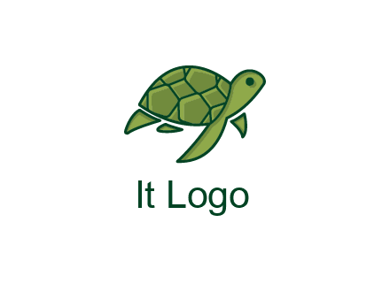 abstract baby turtle