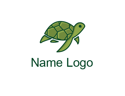 abstract baby turtle