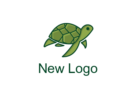abstract baby turtle