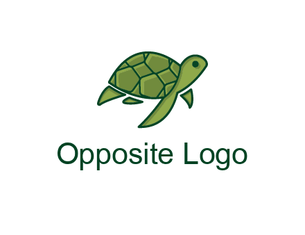 abstract baby turtle