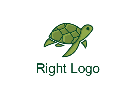 abstract baby turtle
