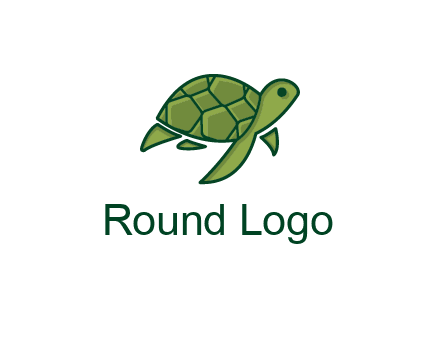 abstract baby turtle