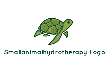 abstract baby turtle