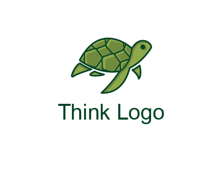 abstract baby turtle