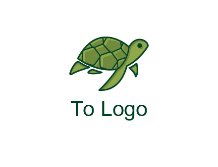 abstract baby turtle