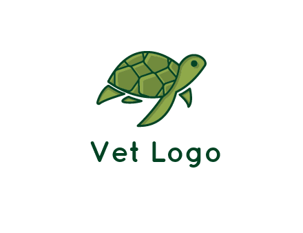 abstract baby turtle