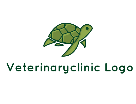 abstract baby turtle