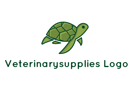 abstract baby turtle