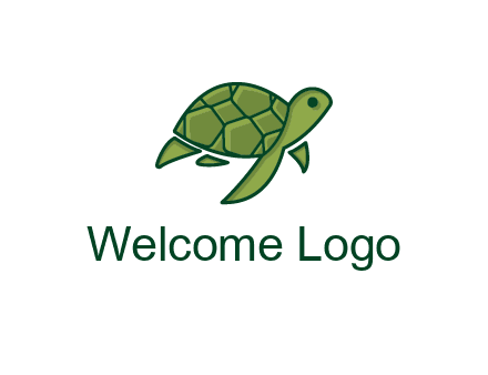 abstract baby turtle