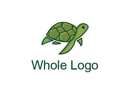 abstract baby turtle