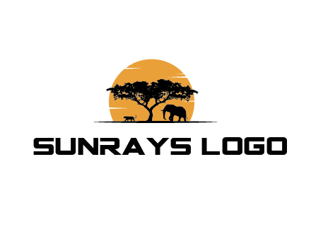sun behind elephants and tree