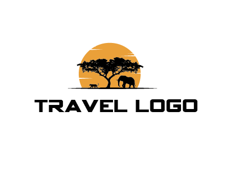 sun behind elephants and tree