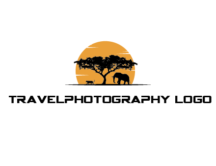 sun behind elephants and tree