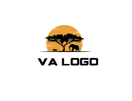 sun behind elephants and tree