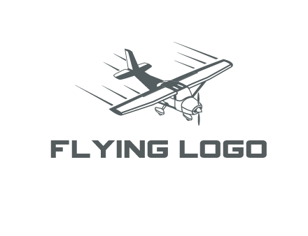 airplane flying