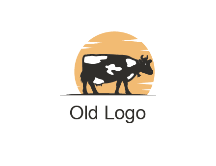 sunset behind cow grazing