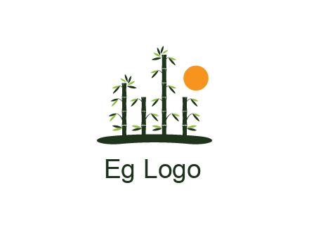 bamboo trees with sun