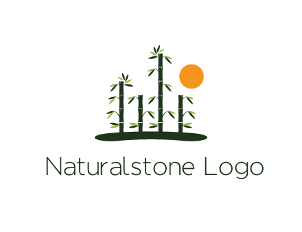 bamboo trees with sun