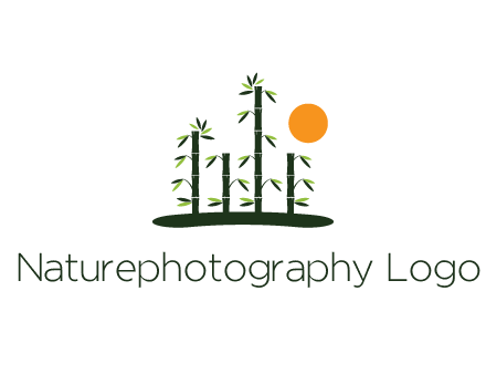 bamboo trees with sun
