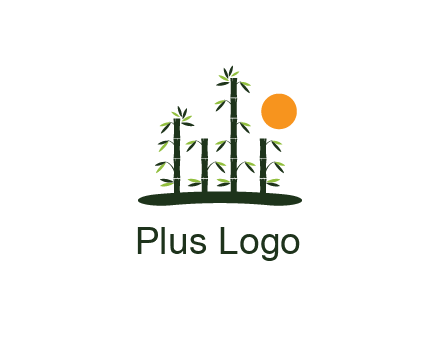 bamboo trees with sun