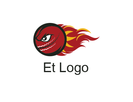 cricket ball with angry face on flames