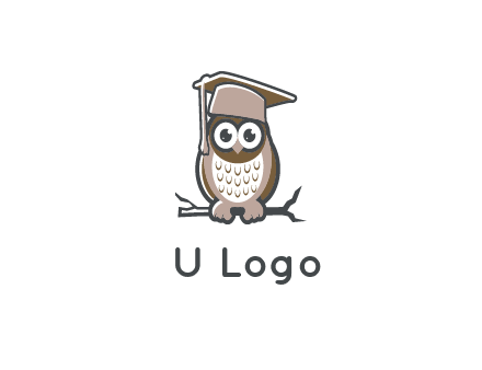 cute owl wearing scholar hat sitting on branch