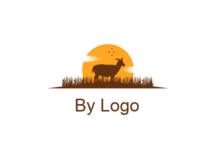 sun behind goat grazing in grass