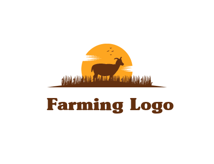 sun behind goat grazing in grass