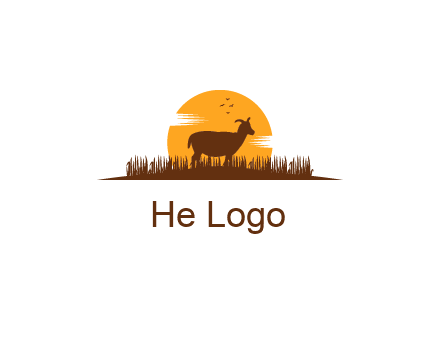 sun behind goat grazing in grass