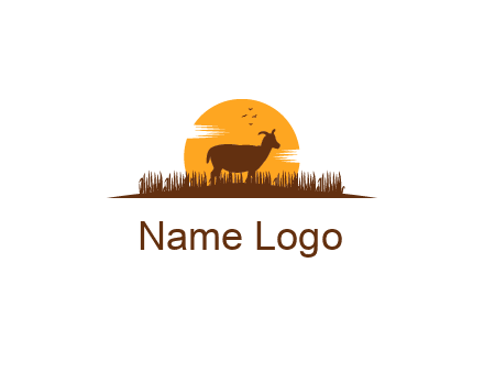 sun behind goat grazing in grass
