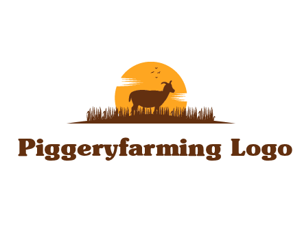 sun behind goat grazing in grass