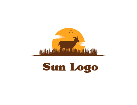 sun behind goat grazing in grass
