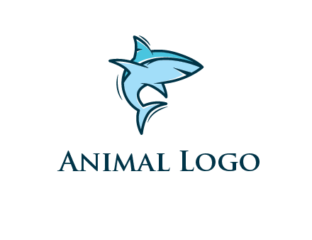 shark swimming