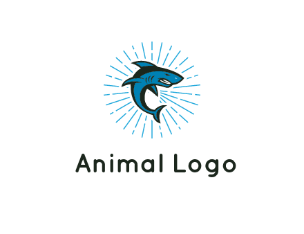 spark in circle behind angry shark 