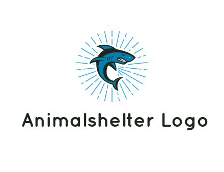 spark in circle behind angry shark 