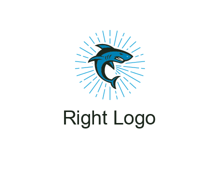 spark in circle behind angry shark 