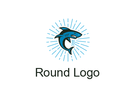 spark in circle behind angry shark 