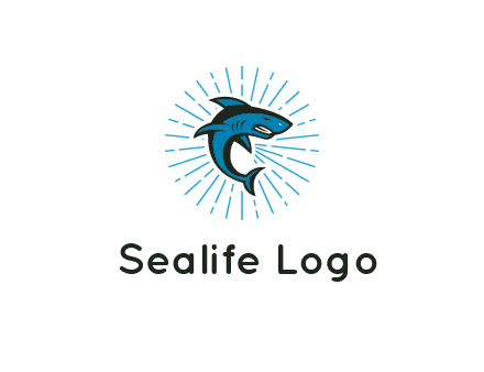 spark in circle behind angry shark 