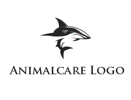 abstract angry shark 