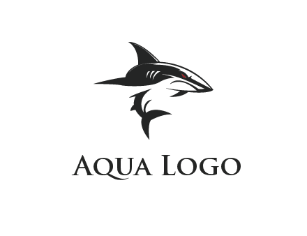 abstract angry shark 