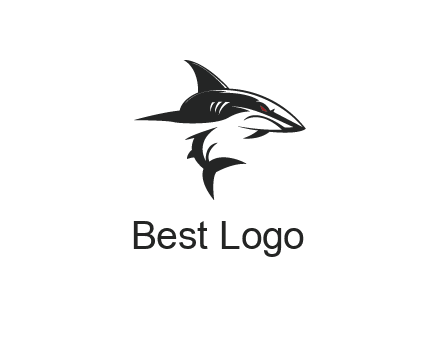 abstract angry shark 