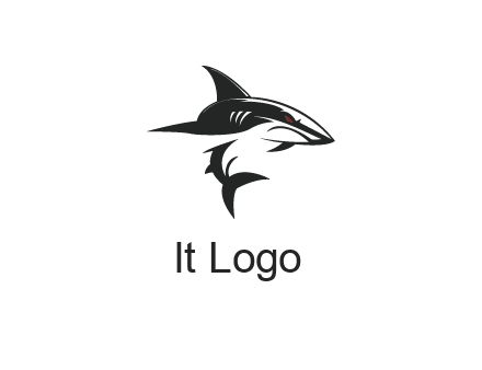 abstract angry shark 