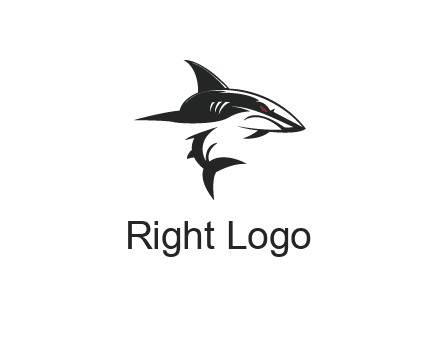 abstract angry shark 