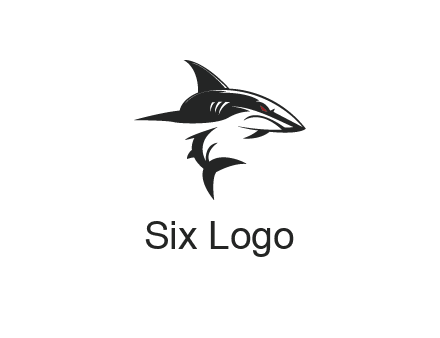 abstract angry shark 