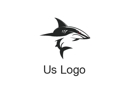 abstract angry shark 