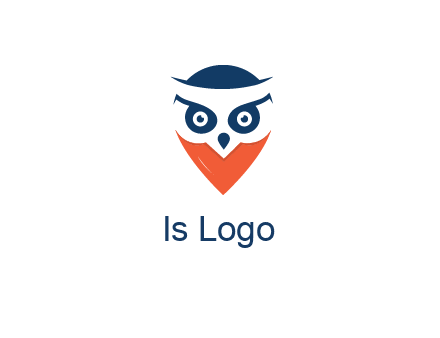 negative spacing owl face