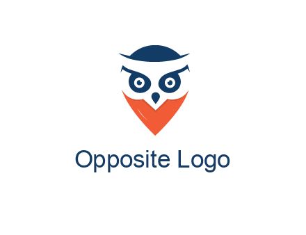 negative spacing owl face